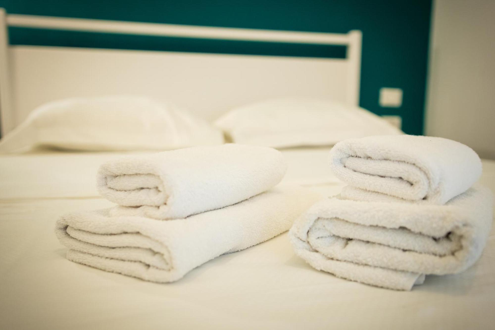 Terra Cane Apartament